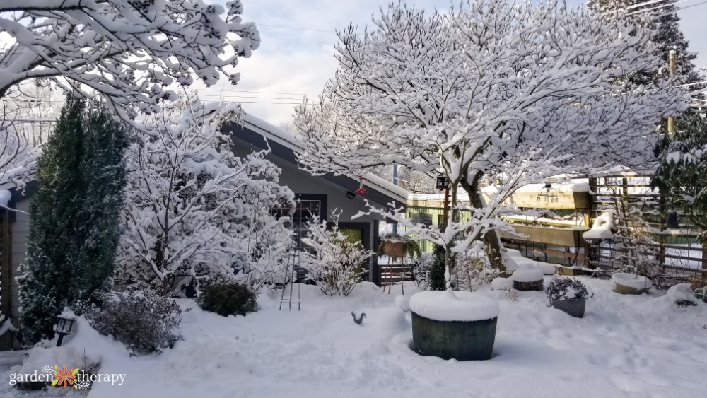 Winterize a Garden: How to Protect Plants from Frost & Snow