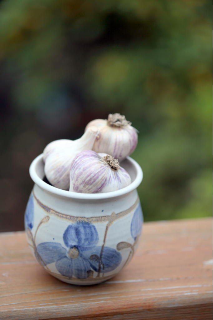 Garlic Health Benefits: Boost Immunity & Heart Health